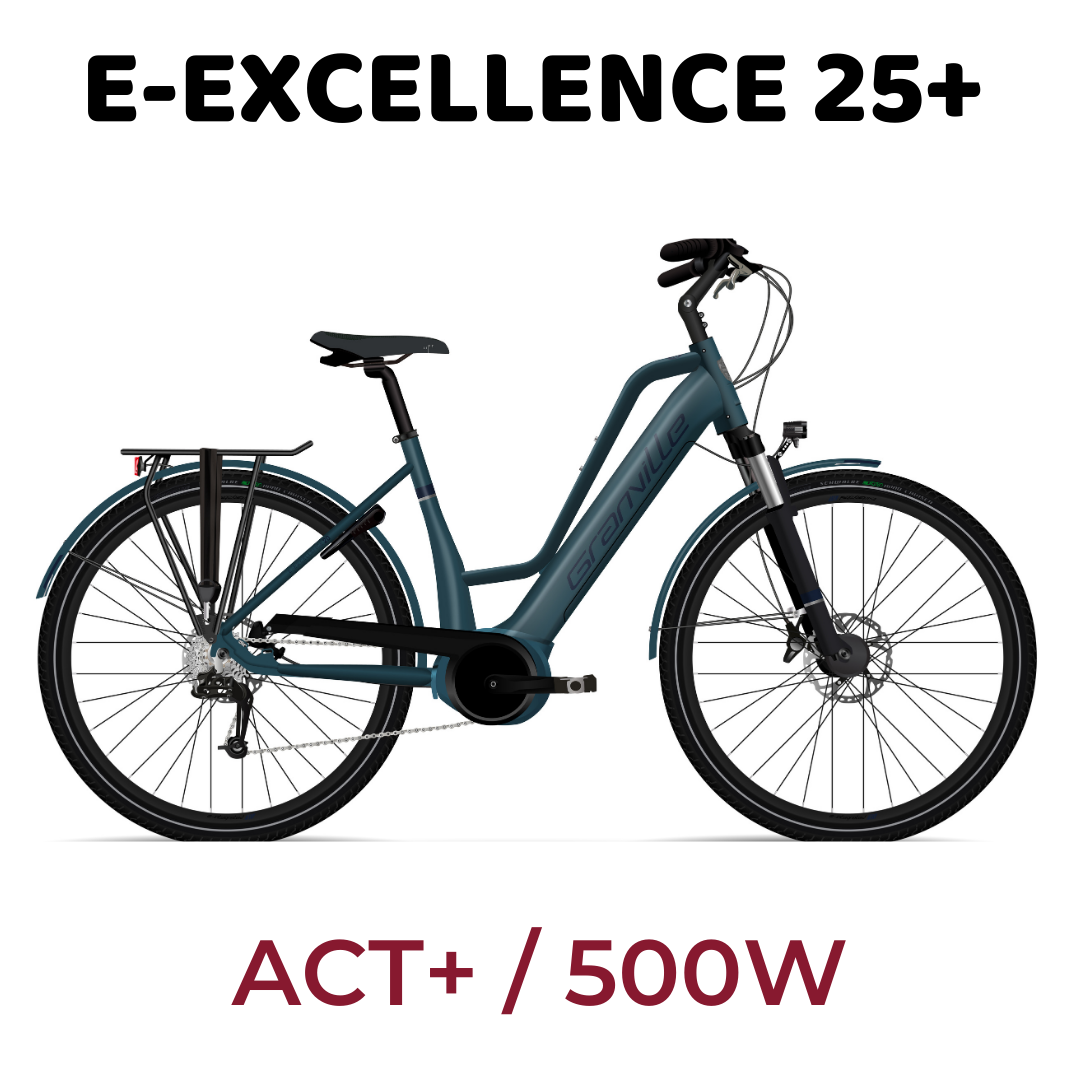 E-Excellence 25  ACTIVE+  500W